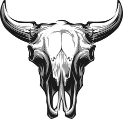 Bull  skull with horns