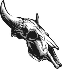 Bull  skull with horns