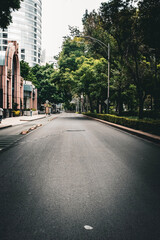 Obraz premium street without traffic in the city