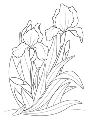 Iris flowers growing in a bush. Coloring book, raster.