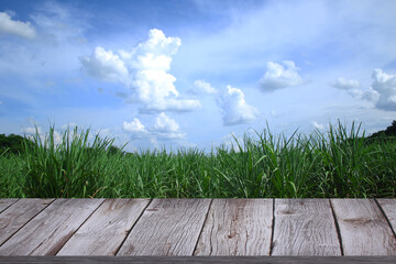 beautiful wooden floor and sky and meadow background
