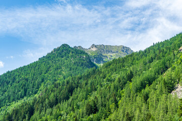 Fototapeta premium Mountain view in summer, Gressoney-Saint-Jean, Aosta Valley, Italy 
