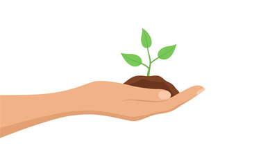 Fototapeta na wymiar A hand holding a seedling in the soil, isolated on a white background. Flat vector illustration