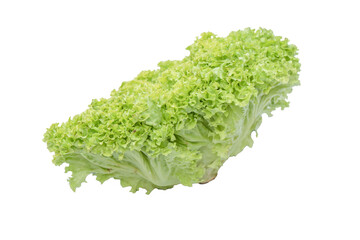 Iceberg lettuce isolated on white background.