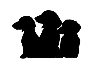 Three Dachshund Puppies sitting together, silhouette, vector