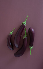 organically grown eggplants on a dark background