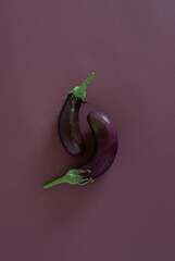 organically grown eggplants on a dark background