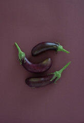 organically grown eggplants on a dark background