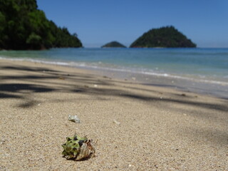Tropical beach 
