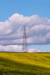 power lines in the rapeseed field on susses downs