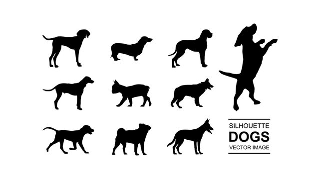 vector set of isolated dog silhouette