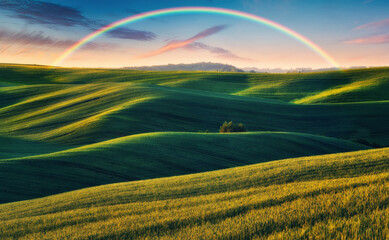 Scenic view of rainbow over green field. dramatic gray sky over a picturesque hilly field
