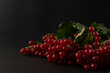 Viburnum berries close-up on dark.