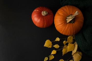 Halloween pumpkin and leaves. Background with pumpkins.