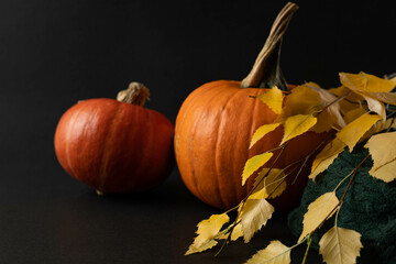 Autumn still life with pumpkin.