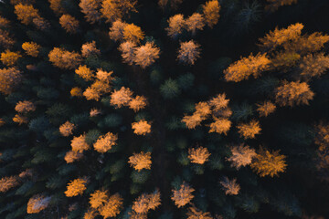 Herbst im Engadin – aus der Vogelperspektive