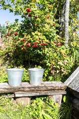 Fototapeta na wymiar Metal buckets with water on a bench near a village well on a sunny day