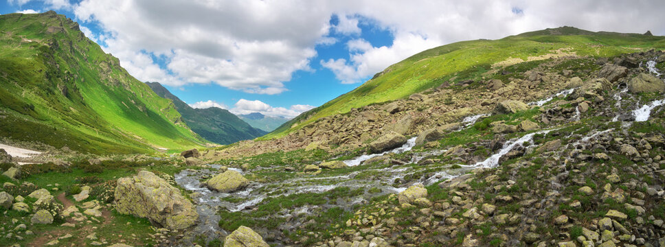 Water stream in green summer mountin