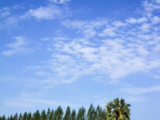 background of shapes and curves in pastel colors