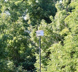 The white wood birdhouse on the tall pole.