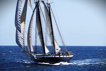 Sailing Ship at sea