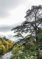 Gilfpromenade in Meran in Südtirol