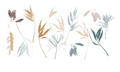 Set of watercolor plant elements for decoration