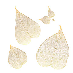 Set leaves of gold on white. Vector illustration.  - 532266017