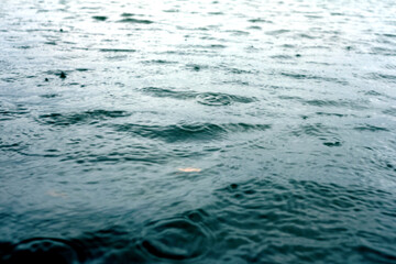 rainy weather - rain drops on water