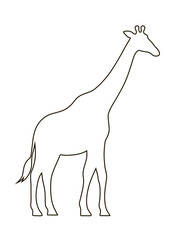 Giraffe black line silhouette. African herbivore mammal. Zoo and safari. Fauna and zoology. Design template for label, sign, logo. Vector illustration isolated on white background