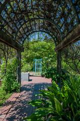 Under the Arbor, National Arboretum, Washington DC USA, Washington, District of Columbia