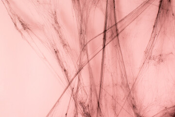 Black spider web on pastel pink background. Minimal mistery Halooween concept. Pink aesthetics.
