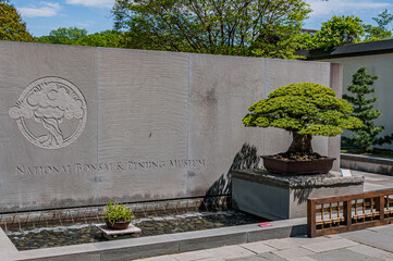 National Bonsai and Penjing Museum, Washington, DC USA, Washington, District of Columbia