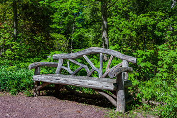 Bench in the Woodlands, National Arboretum, Washington DC USA, Washington, District of Columbia