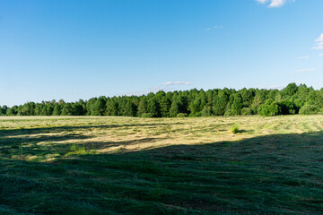 landscape with trees