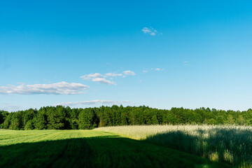 field and blue sky