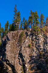 Granite cliffs and trees against a blue sky as morning sun casts shadows