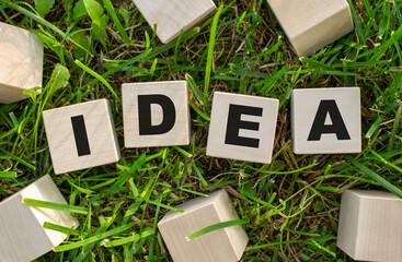 The word IDEA is written on wooden cubes. The blocks are located on green grass with sunlight.