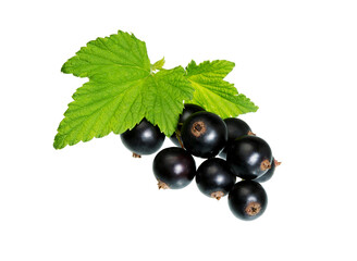  Currant berries isolated.