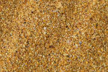 Coarse sea sand. Fragments and debris sea shells. Natural coarse sand texture close-up.
