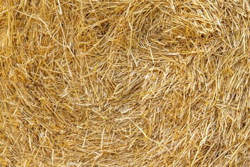 Hay texture. Hay bales are stacked in large stacks. Harvesting in agriculture.