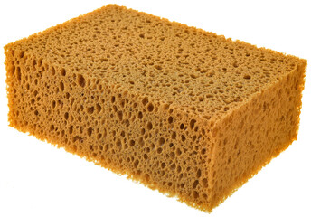 sponge isolate background 