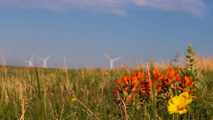 Paint Mines Interpretive Park