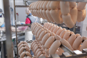 factory for the production of sausages, workers make sausage. meat industry concept