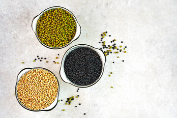 Collection of legumes and whole grain in bowls - mungo bean, buckwheat and black lentil on the grey background. Copy space