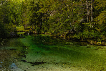 landscape and river Sava Bihinjka near lake Bohinj in Slovenia