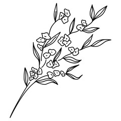 branch with flowers illustration. Hand-drawn doodles illustration. Line art. Icon