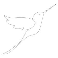 Obraz na płótnie Canvas hummingbird illustration. Hand-drawn doodles illustration. Line art. Icon