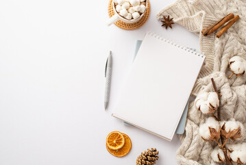 Top view photo of open planner pen cup of hot drinking with marshmallow on rattan placemat knitted plaid cotton branch pine cone anise and cinnamon sticks on isolated white background with copyspace