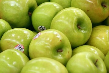 Red and green apple farm